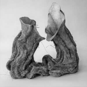 Afbeelding zonder ALT